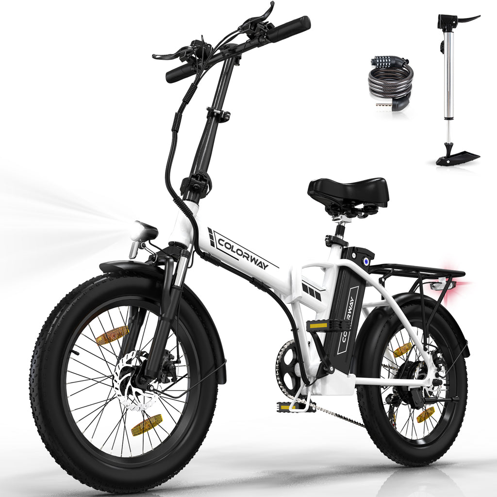 BK11M Folding Ebike
