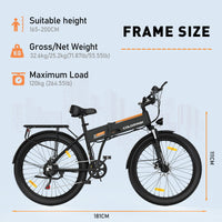 BK12 Folding Bike