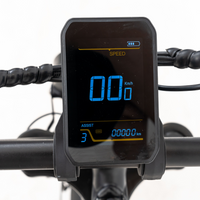 Ebike Display
